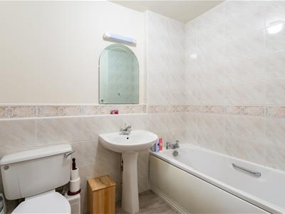 Picture 16